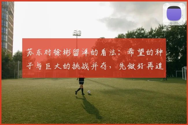 苏东对徐彬留洋的看法：希望的种子与巨大的挑战并存，先做好再追求完美